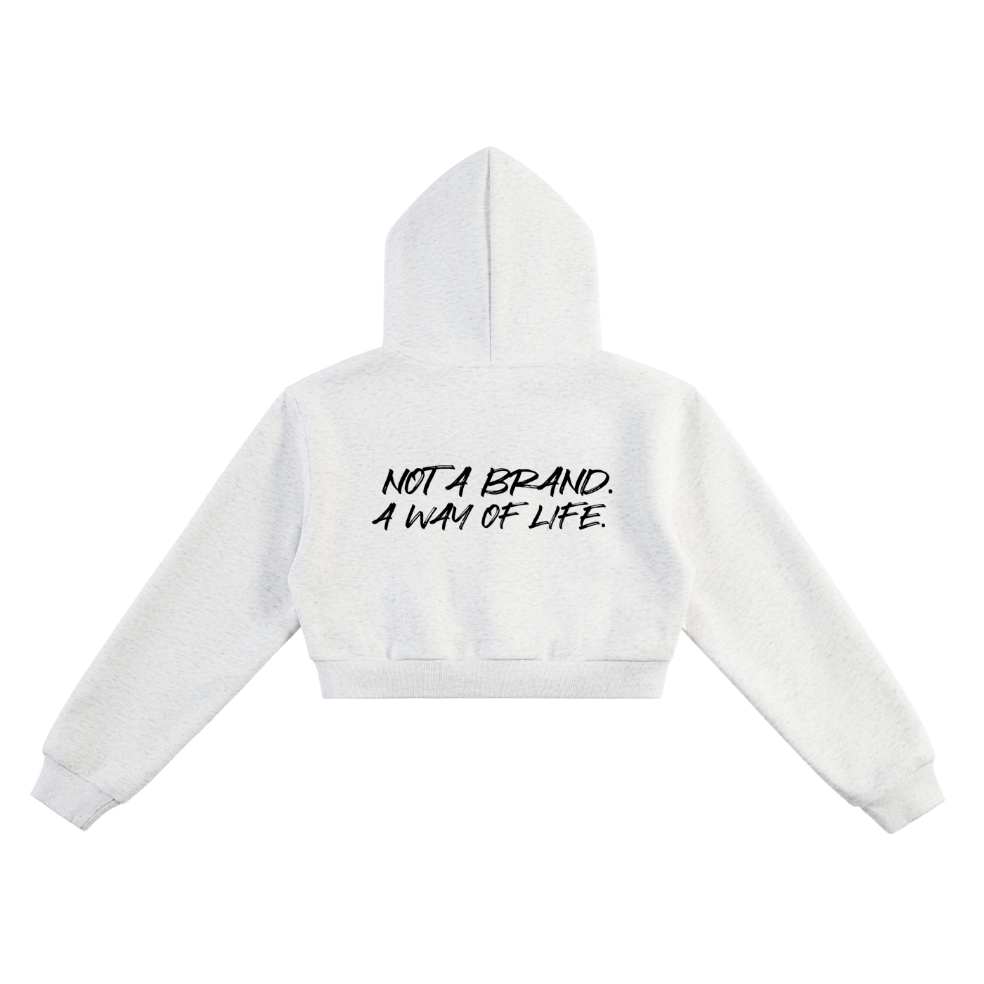 BILLION DOLLAZ 'cash bear' Cropped Hoodie